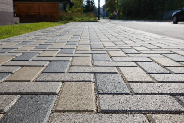 Best Professional Driveway Pavers  in Mayville, WI