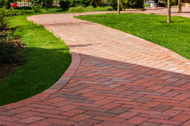 Best Local Driveway Pavers  in Mayville, WI