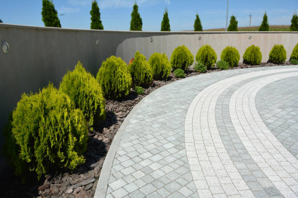 Best Residential Paver Driveway  in Mayville, WI