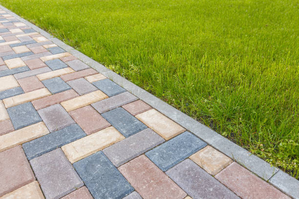Best Driveway Paving Contractor  in Mayville, WI
